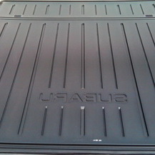 Liggagetray